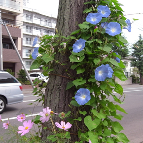 いよいよ始動