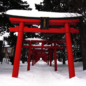 初詣 IN 札幌伏見稲荷