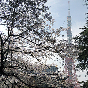 東京出張