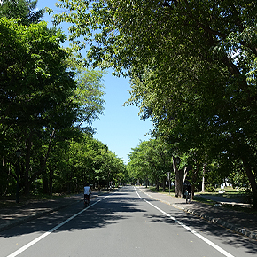 北海道大学